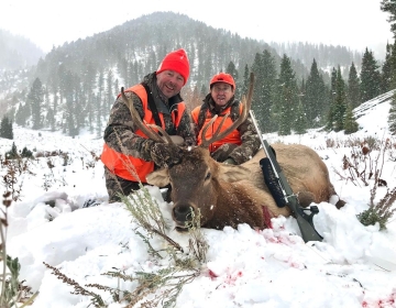 Sns Outfitters Bull Elk Wyoming 2019 10